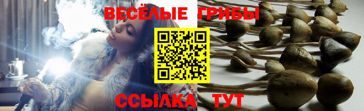Галлюциногенные грибы мухоморы  Вход с VPN  Псилоцибиновые грибы мухоморы  Лысьва 